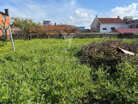 Terreno misto com possibilidade de construção