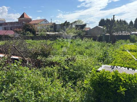 Terreno misto com possibilidade de construção