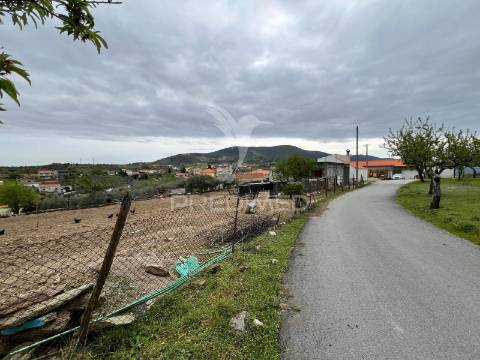 Moradia com terreno em sequeiros – a poucos minutos de torre de moncorvo