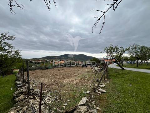 Moradia com terreno em sequeiros – a poucos minutos de torre de moncorvo