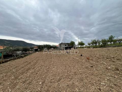 Moradia com terreno em sequeiros – a poucos minutos de torre de moncorvo