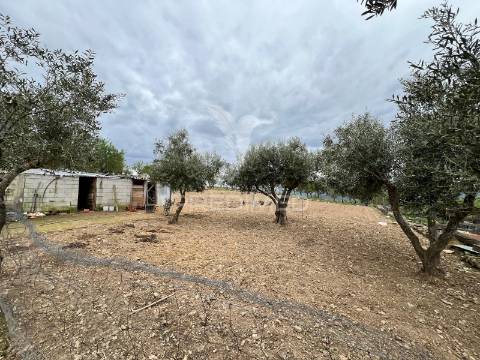 Moradia com terreno em sequeiros – a poucos minutos de torre de moncorvo