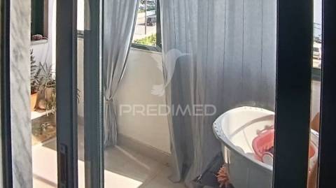 T2 em alhos vedros com arrecadação