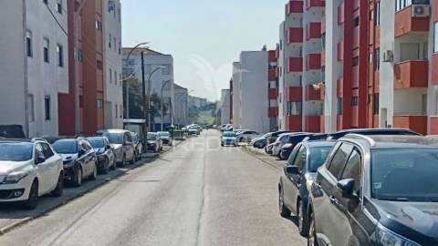 T2 em alhos vedros com arrecadação