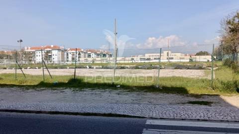 T2 em alhos vedros com arrecadação