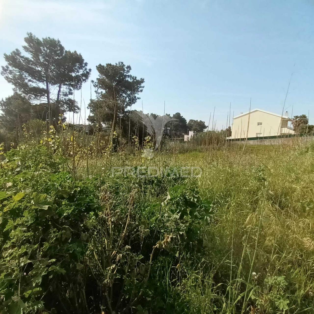 Lote para construção em azeitão