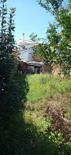 Casa r/chão e 1º andar, alpalhão, nisa