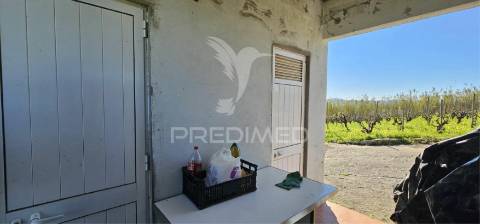 Terreno rústico bucelas com vinha e furo