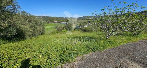 Terreno rústico bucelas com vinha e furo