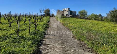 Terreno rústico bucelas com vinha e furo