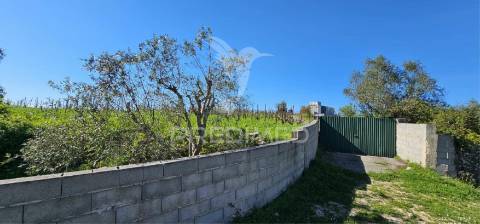 Terreno rústico bucelas com vinha e furo