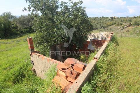 Casa antiga para renovar c/ terreno amplo