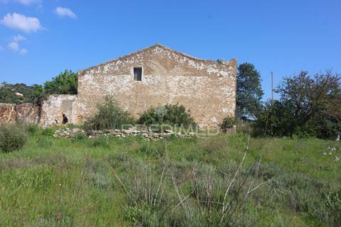 Casa antiga para renovar c/ terreno amplo