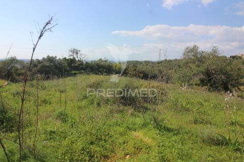Casa antiga para renovar c/ terreno amplo