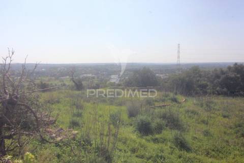 Casa antiga para renovar c/ terreno amplo