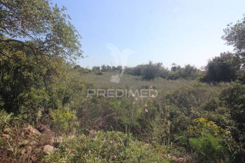 Casa antiga para renovar c/ terreno amplo