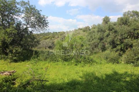 Casa antiga para renovar c/ terreno amplo