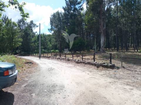 Terreno srª do castelo