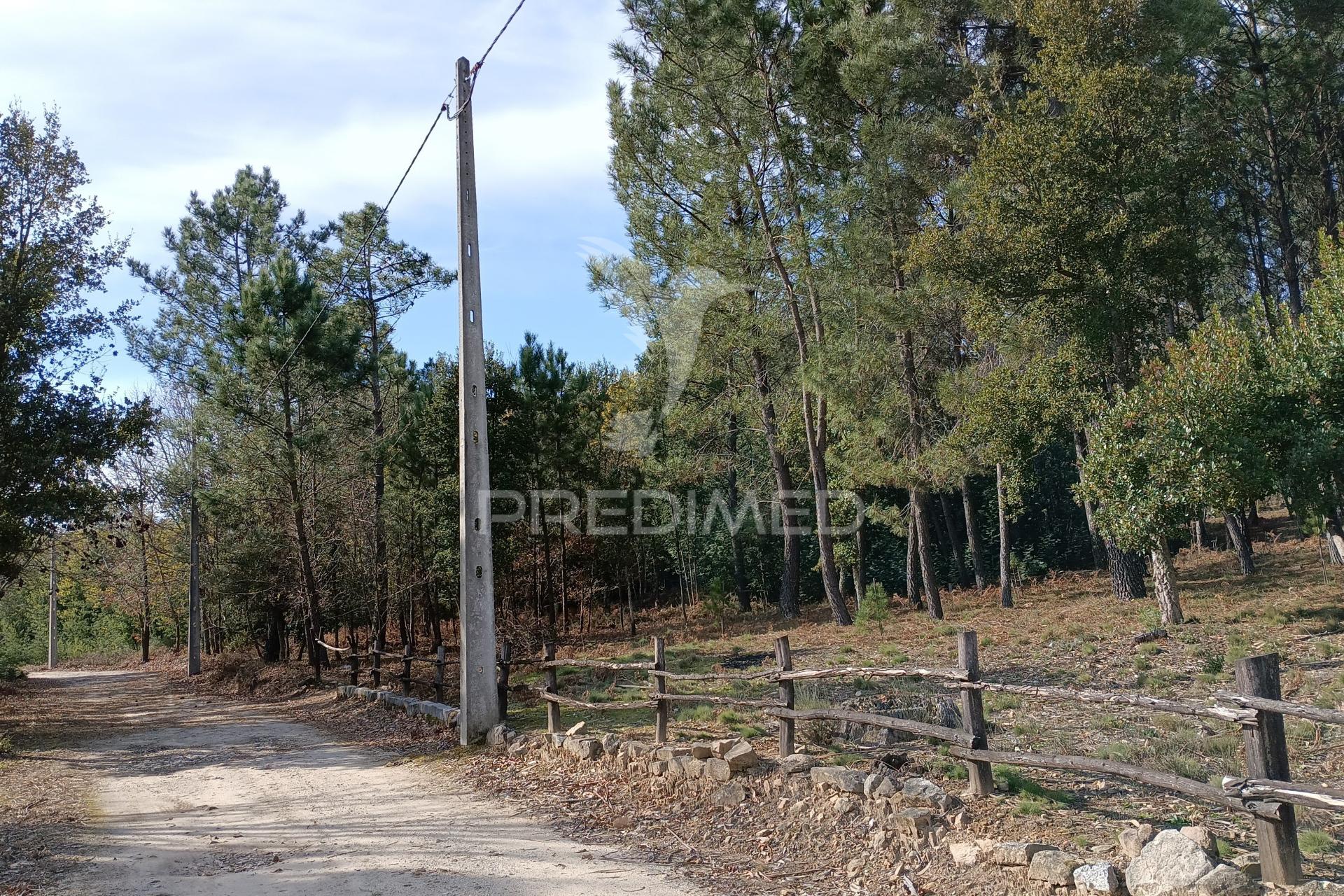 Terreno srª do castelo