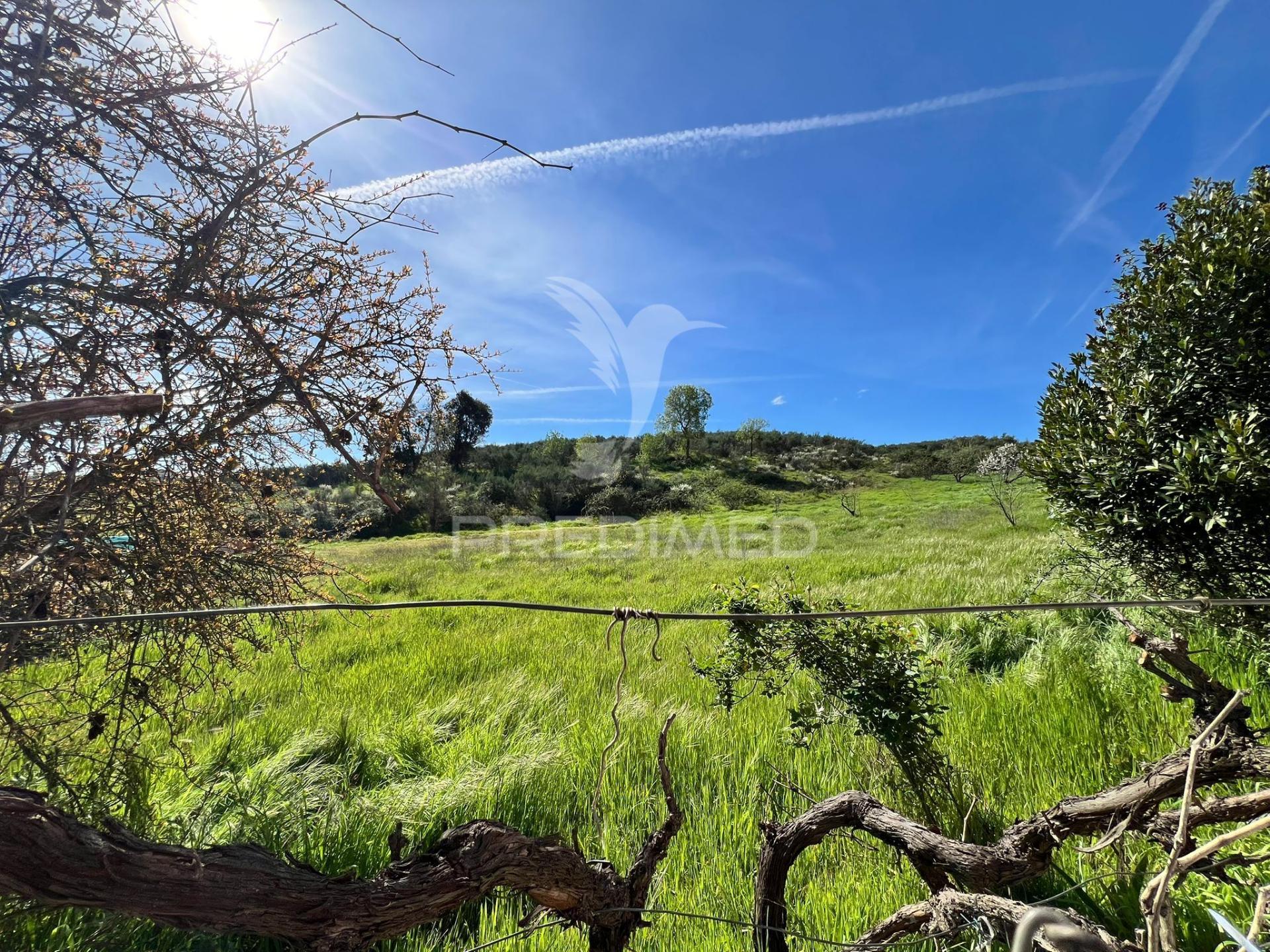 Terreno em contins, a 10 minutos de mirandela