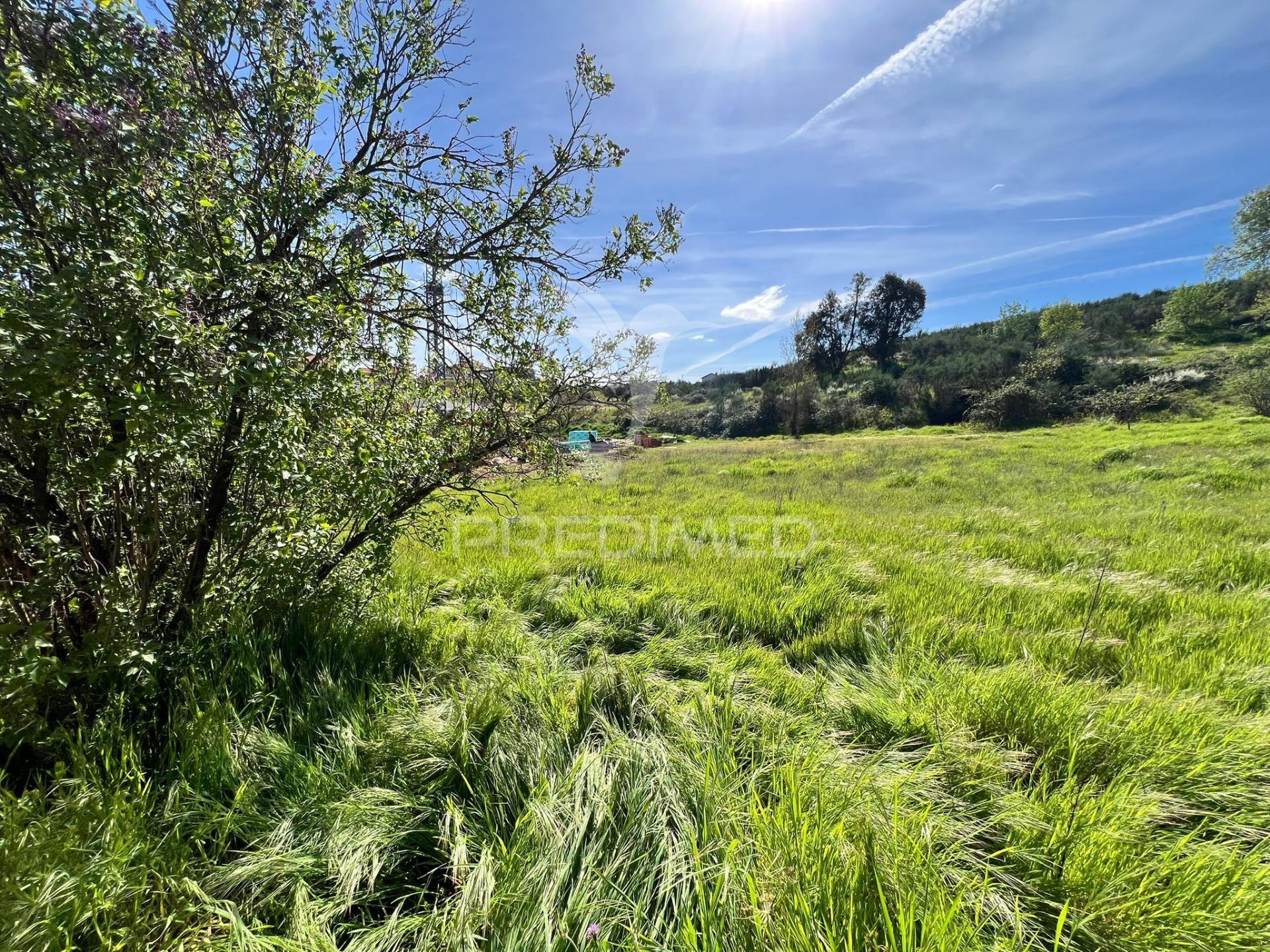 Terreno em contins, a 10 minutos de mirandela