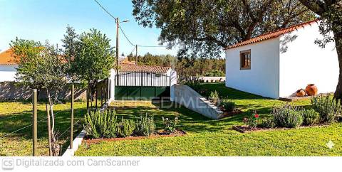 Quinta com 4,6 hectares, monte da pedra