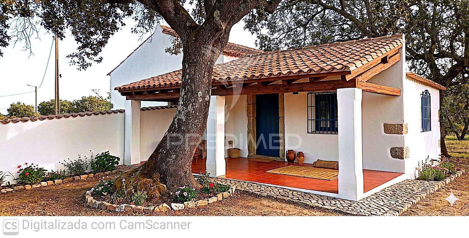 Quinta com 4,6 hectares, monte da pedra