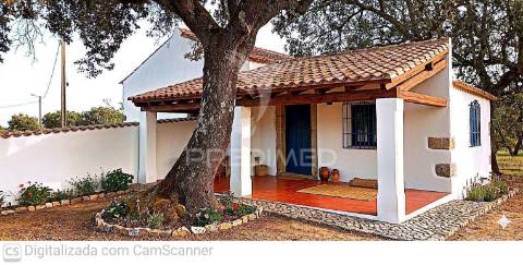 Quinta com 4,6 hectares, monte da pedra