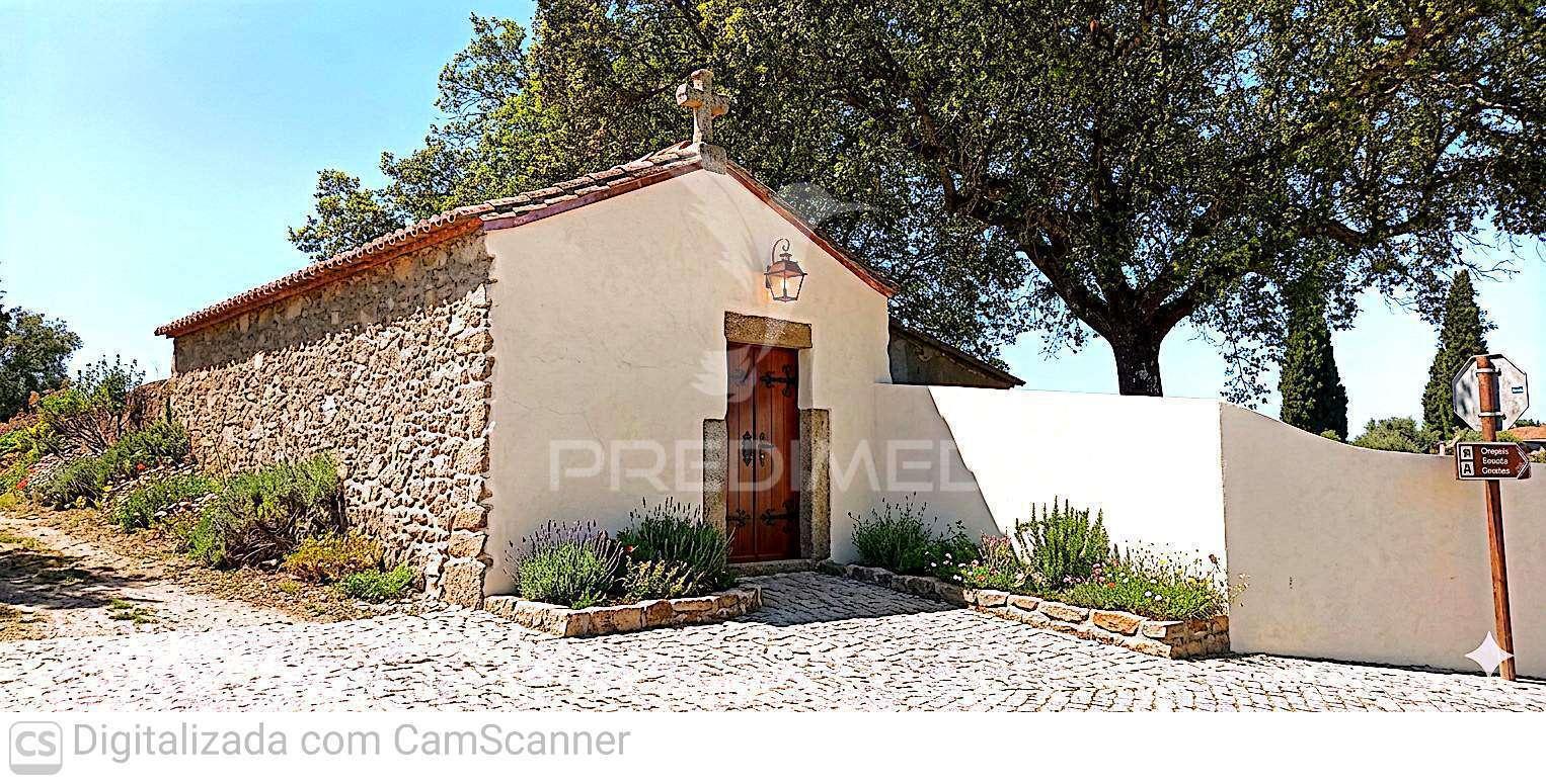 Quinta com 4,6 hectares, monte da pedra