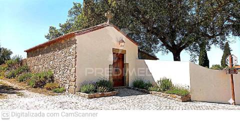 Quinta com 4,6 hectares, monte da pedra