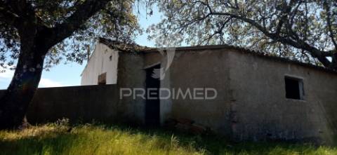 Quinta com 4,6 hectares, monte da pedra