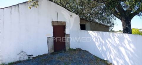 Quinta com 4,6 hectares, monte da pedra