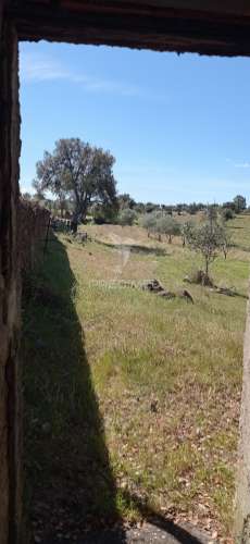Quinta com 4,6 hectares, monte da pedra