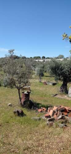 Quinta com 4,6 hectares, monte da pedra
