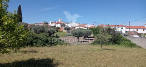 Quinta com 4,6 hectares, monte da pedra