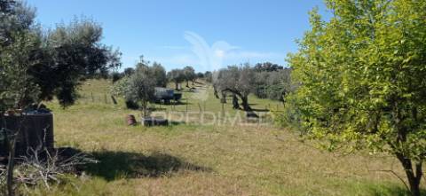 Quinta com 4,6 hectares, monte da pedra