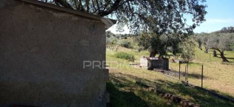 Quinta com 4,6 hectares, monte da pedra