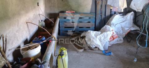 Quinta com 4,6 hectares, monte da pedra