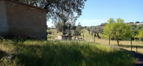 Quinta com 4,6 hectares, monte da pedra