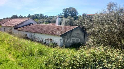 Quinta com moradia t3 e adega,lavre,montemor o novo.