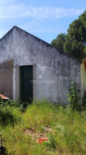 Quinta com moradia t3 e adega,lavre,montemor o novo.