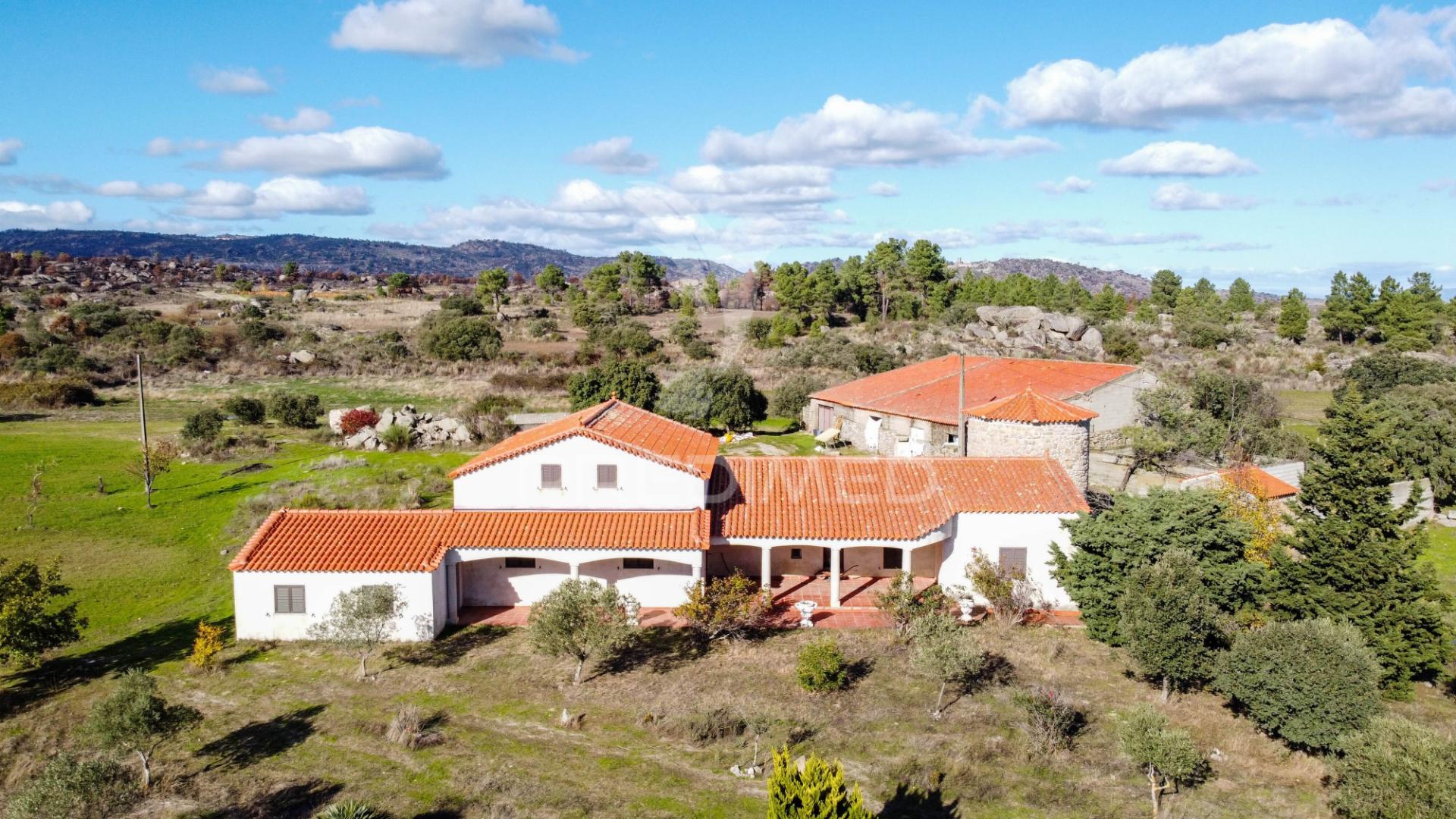 Quinta única com mais de 18 hectares junto a marialva e ao douro