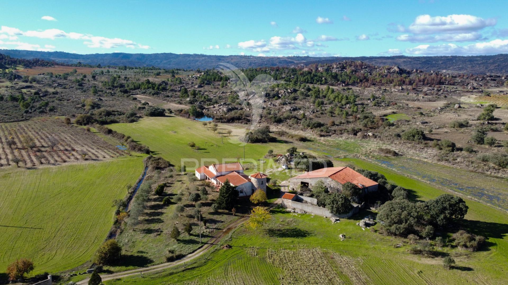 Quinta única com mais de 18 hectares junto a marialva e ao douro