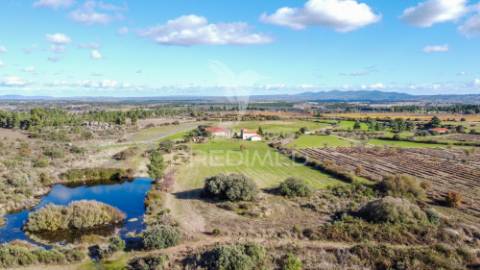 Quinta única com mais de 18 hectares junto a marialva e ao douro