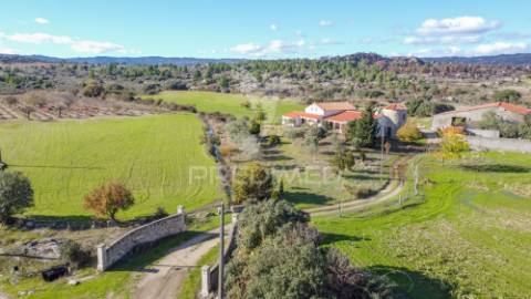Quinta única com mais de 18 hectares junto a marialva e ao douro