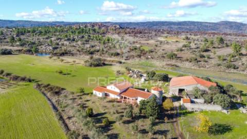 Quinta única com mais de 18 hectares junto a marialva e ao douro