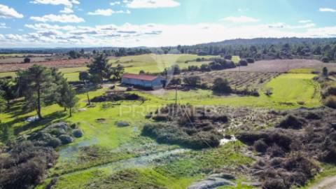 Quinta única com mais de 18 hectares junto a marialva e ao douro