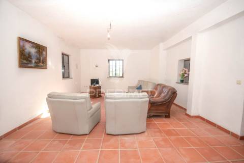 Quinta única com mais de 18 hectares junto a marialva e ao douro