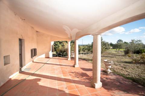 Quinta única com mais de 18 hectares junto a marialva e ao douro