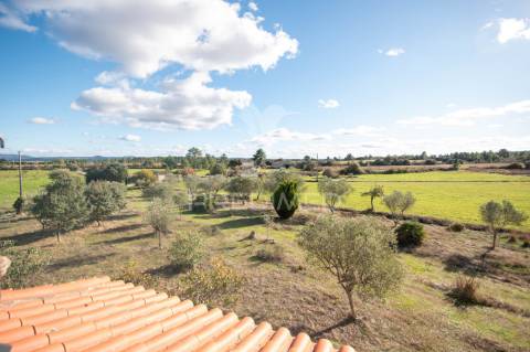 Quinta única com mais de 18 hectares junto a marialva e ao douro
